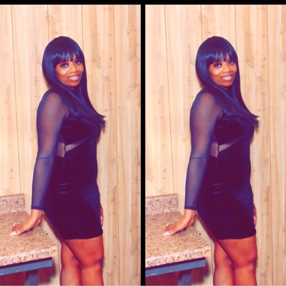 Mesh LongSleeve Mini Dress - Picture 3 of 3